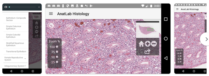 AnatLab Histology